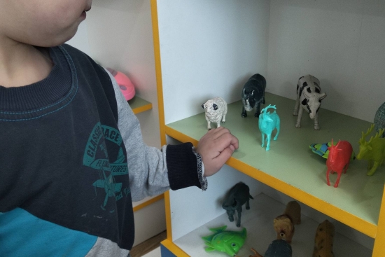 « Тәртіп пен ұқыптылық»